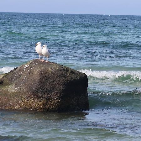 Fewowiek39 Lägenhet Wiek auf Rügen Exteriör bild