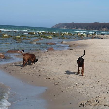 Fewowiek39 Lägenhet Wiek auf Rügen Exteriör bild