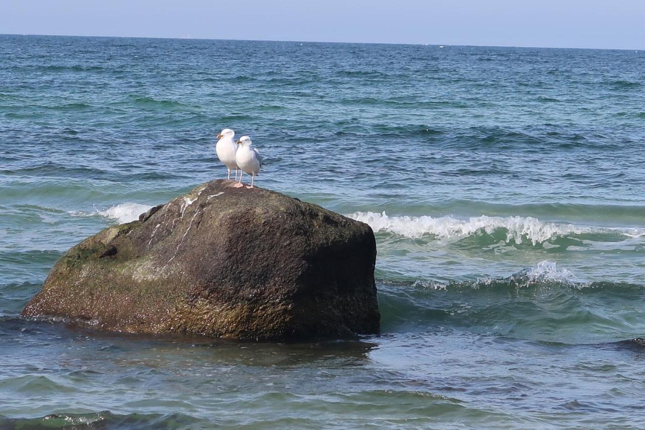 Fewowiek39 Lägenhet Wiek auf Rügen Exteriör bild