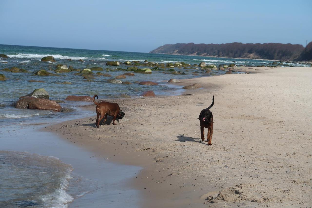 Fewowiek39 Lägenhet Wiek auf Rügen Exteriör bild